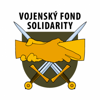 vfs_logo.png