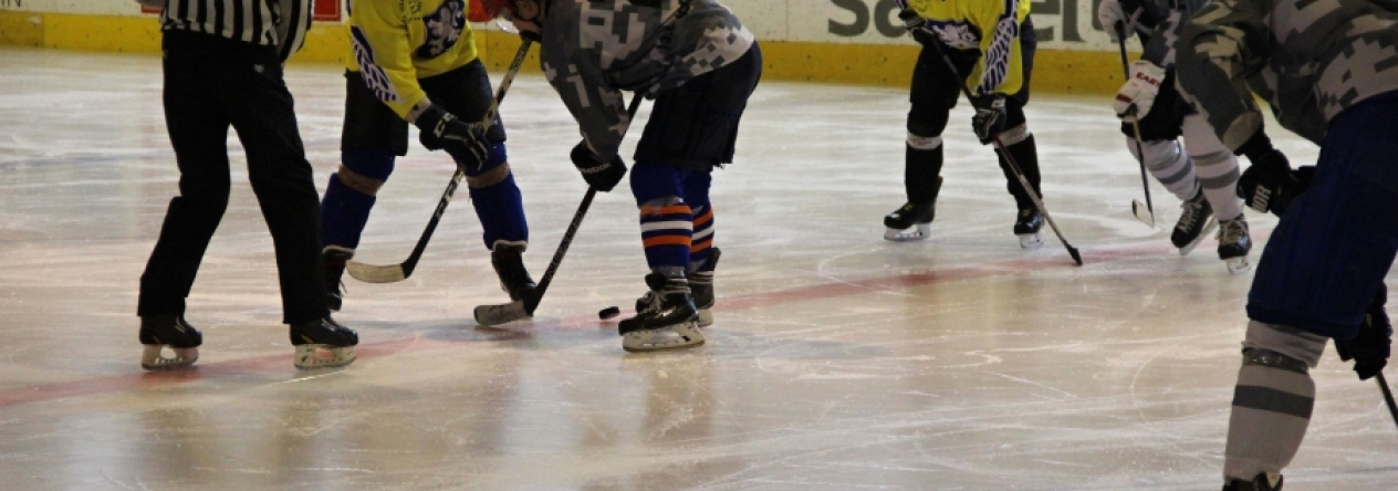 img_2392a.jpg
