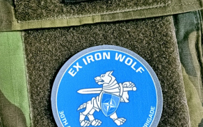 Cvičení Iron Wolf bylo stěžejní dvoutýdenní cvičení pro celou 12. rotaci eFP