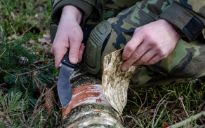 Březová kůra je nejvhodnější pro přípravu ohně a je běžně dostupná téměř všude.