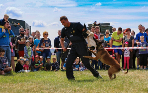 Kynologové z Vojenské policie předvedou dovednosti služebních psů. 