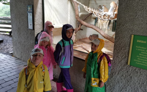 Na programu byla i návštěva zoologické zahrady v Hluboké nad Vltavou.