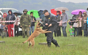 Ukázka z výcviku služebních psů v podání příslušníků Vojenské policie.