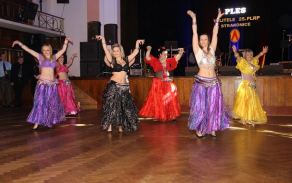 Půlnoční překvapení v podání tanečnic ze skupiny Orient Dance Strakonice, které předvedly indický tanec Bolywood.