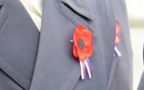 Vlčí mák - symbol dne válečných veteránů
